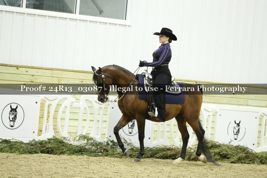 Proof Number 24R13_03087