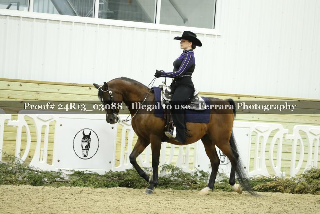 Proof Number 24R13_03088