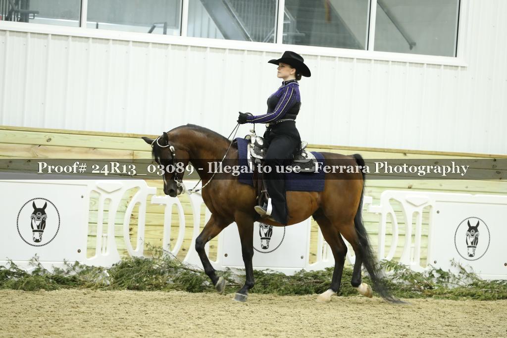 Proof Number 24R13_03089