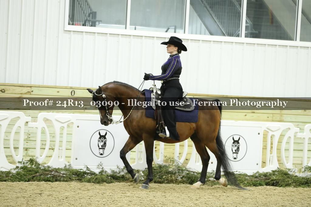 Proof Number 24R13_03090