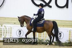 24R13_03091 thumbnail