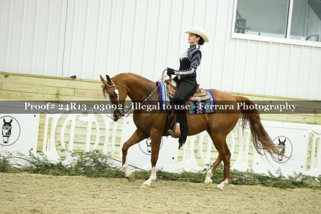 Proof Number 24R13_03092