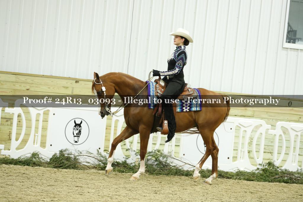 Proof Number 24R13_03093