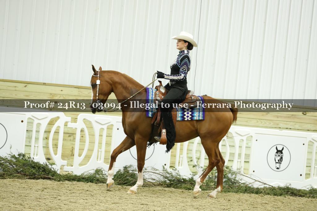 Proof Number 24R13_03094