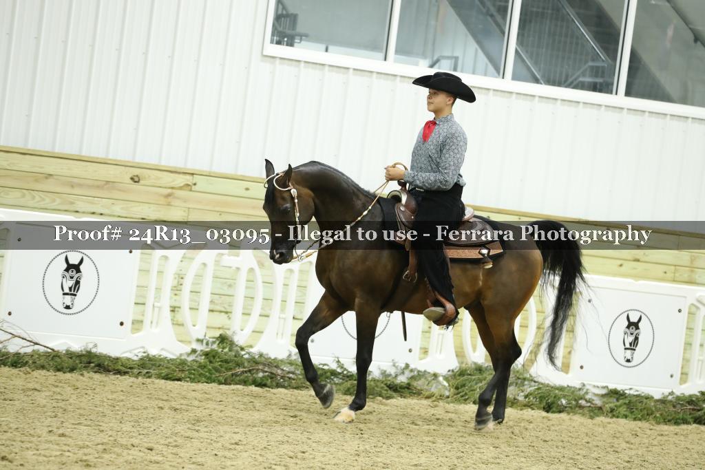 Proof Number 24R13_03095