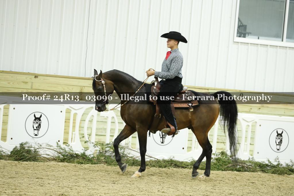 Proof Number 24R13_03096