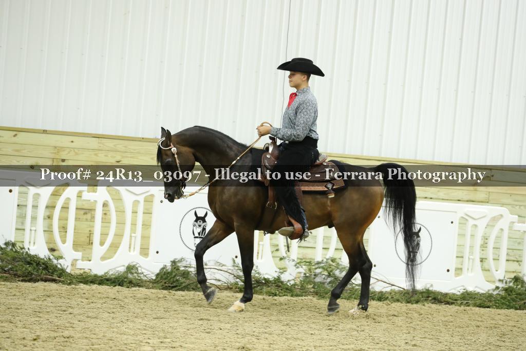 Proof Number 24R13_03097