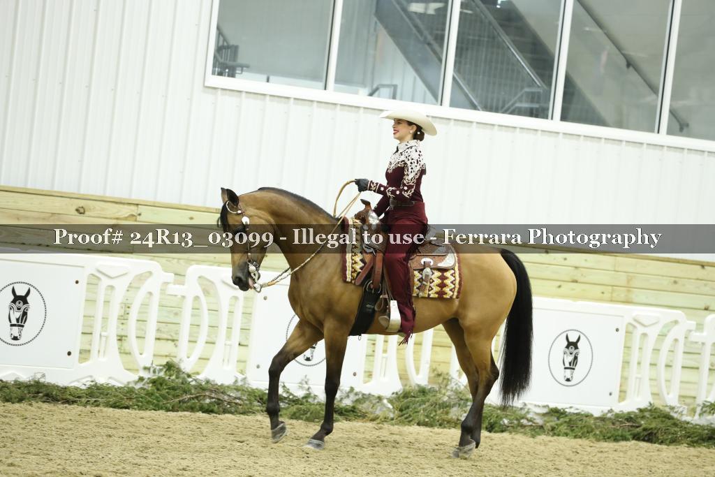 Proof Number 24R13_03099