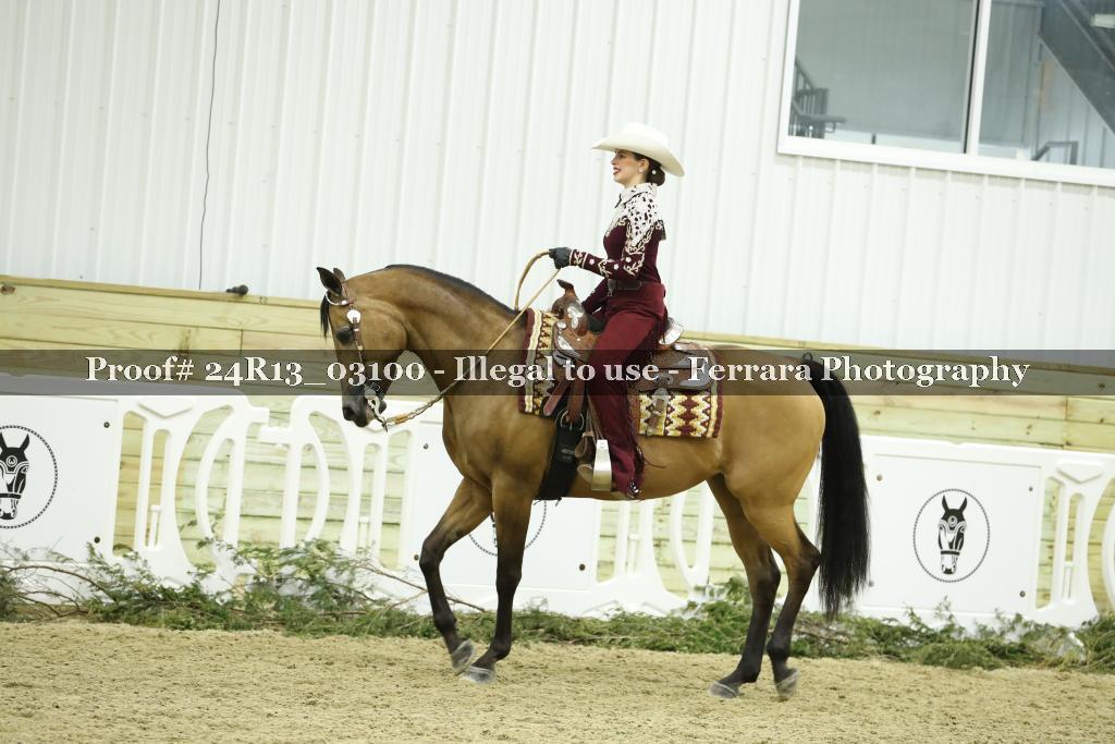 Proof Number 24R13_03100