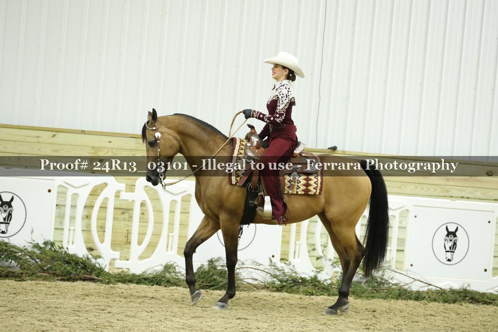 Proof Number 24R13_03101