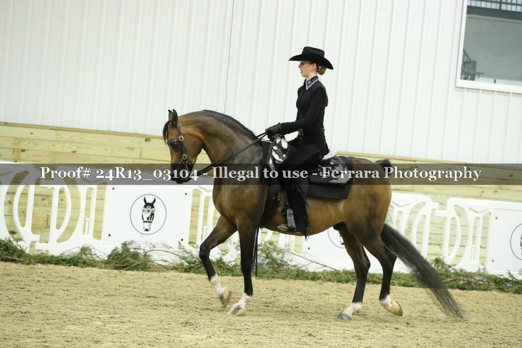 Proof Number 24R13_03104