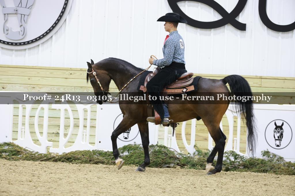 Proof Number 24R13_03105