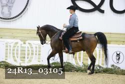 24R13_03105 thumbnail