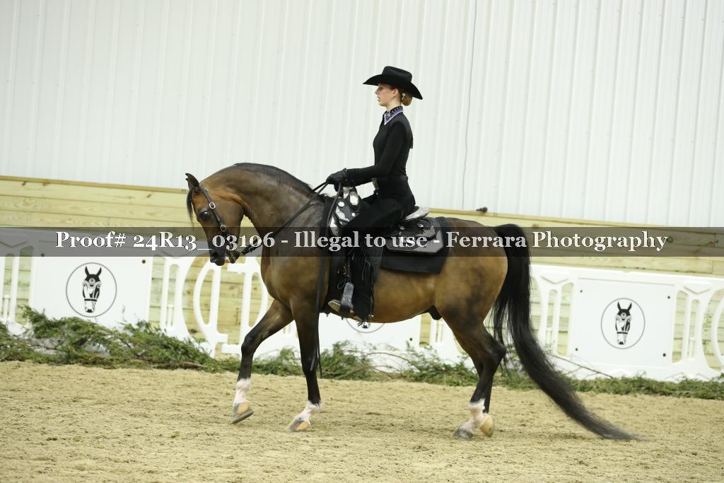 Proof Number 24R13_03106