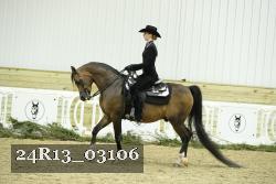 24R13_03106 thumbnail