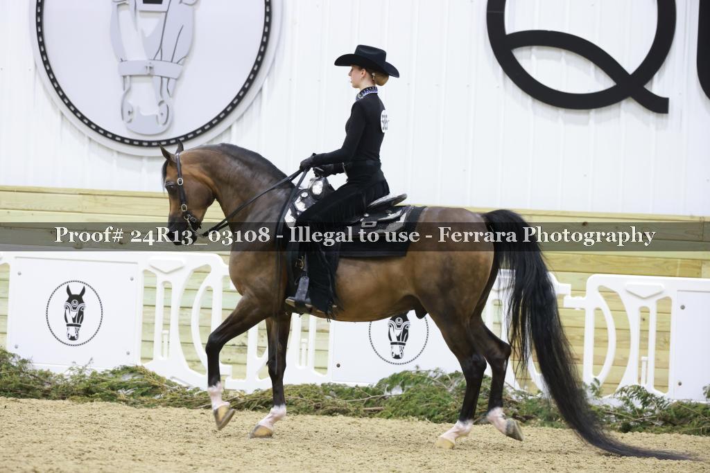 Proof Number 24R13_03108