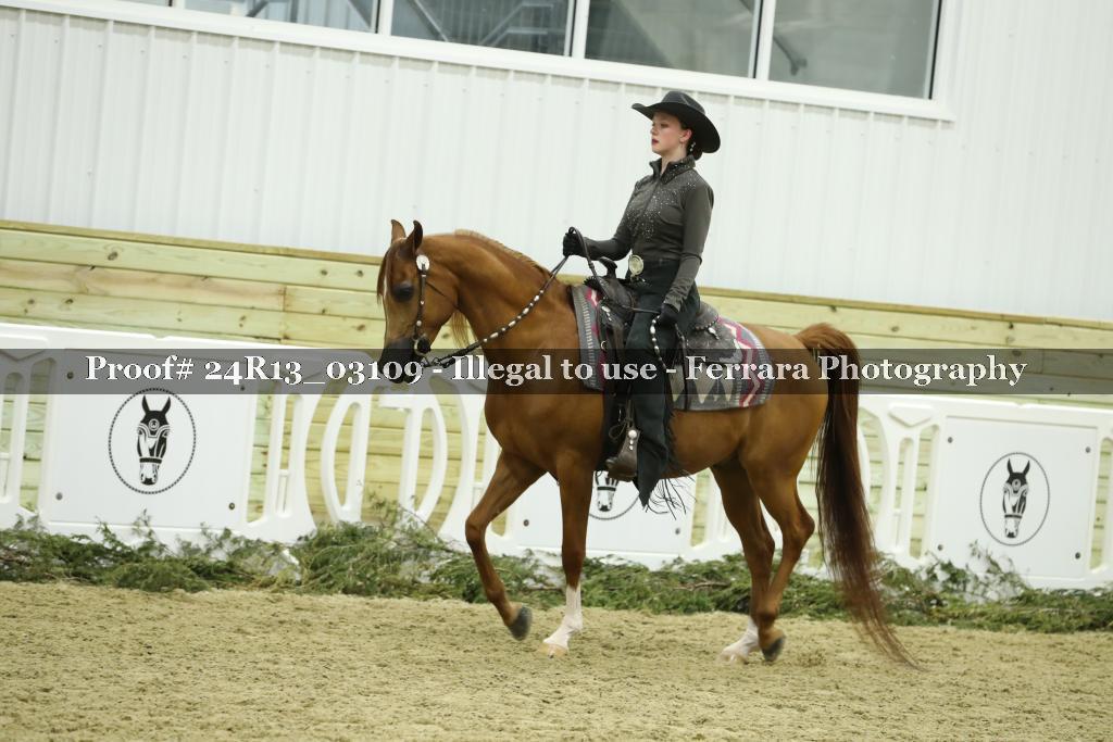 Proof Number 24R13_03109