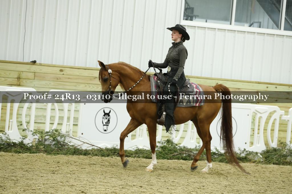 Proof Number 24R13_03110