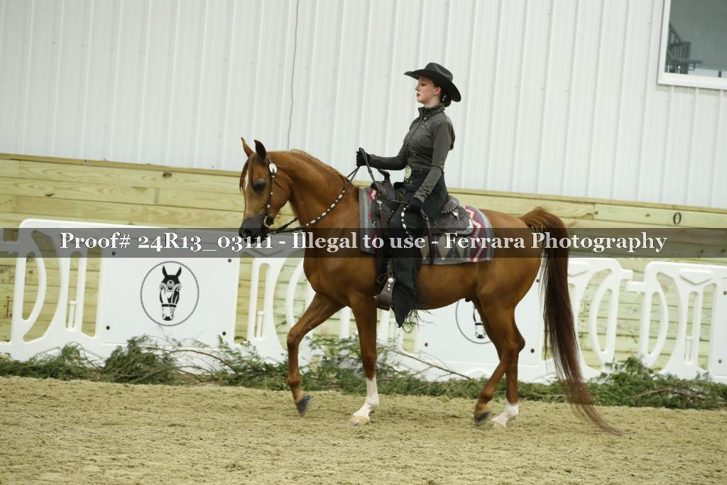 Proof Number 24R13_03111