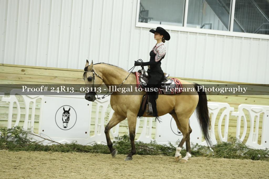 Proof Number 24R13_03113