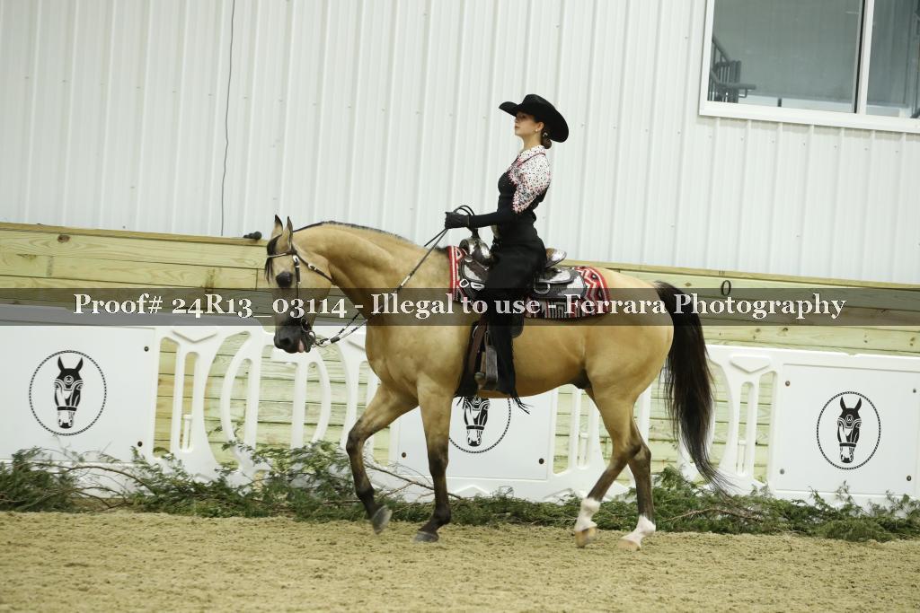 Proof Number 24R13_03114