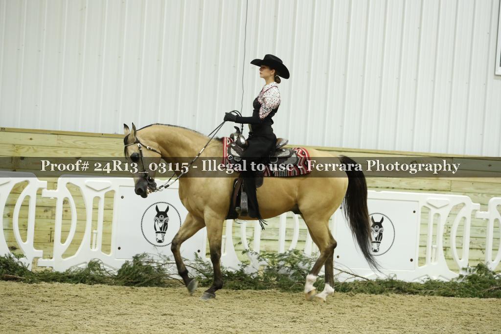 Proof Number 24R13_03115