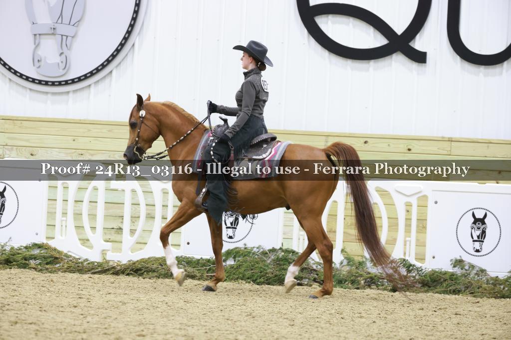 Proof Number 24R13_03116