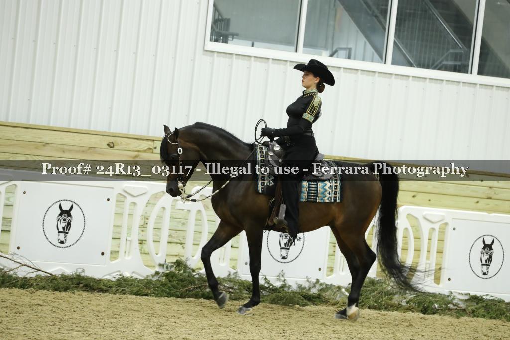 Proof Number 24R13_03117