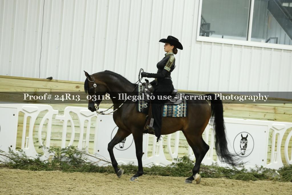Proof Number 24R13_03118