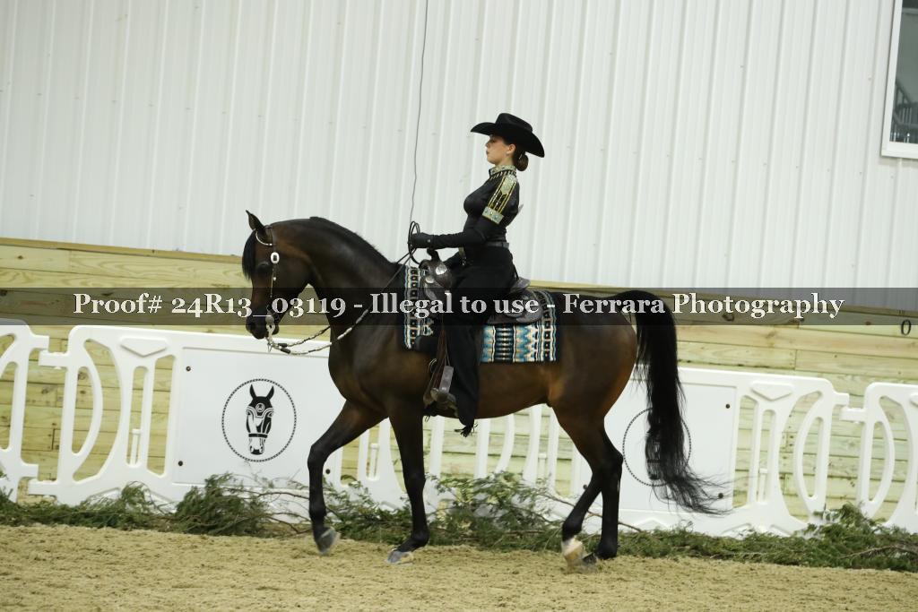 Proof Number 24R13_03119