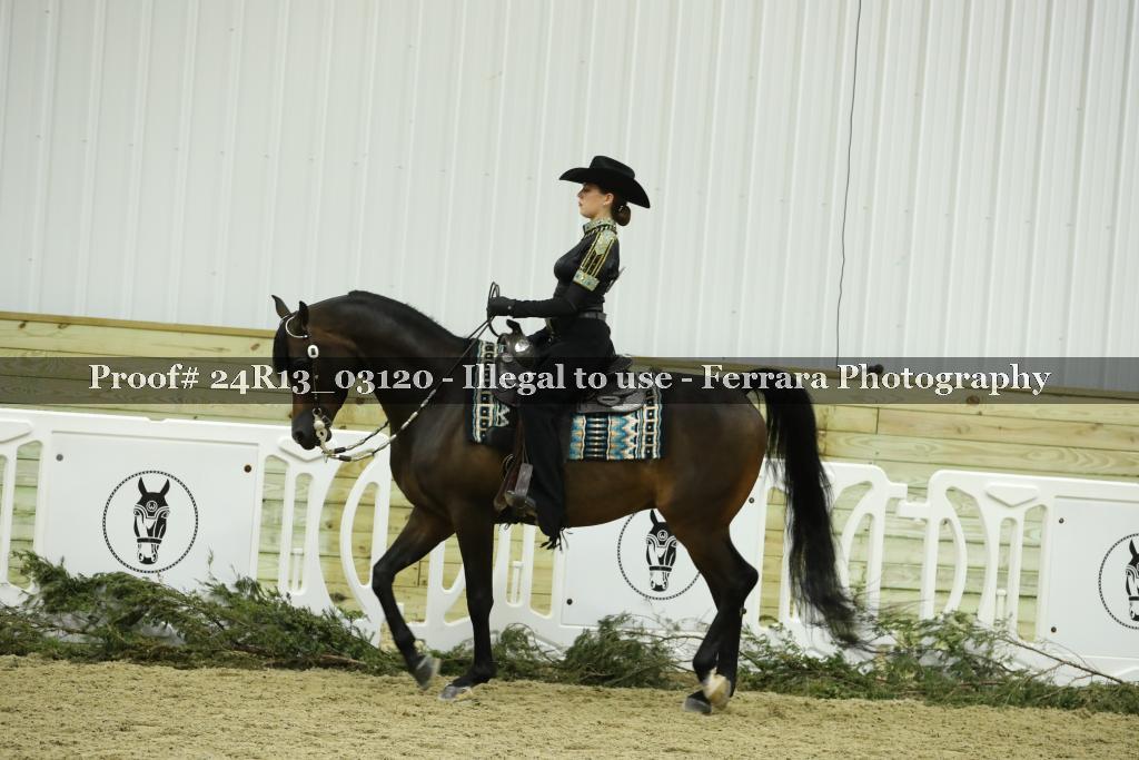Proof Number 24R13_03120