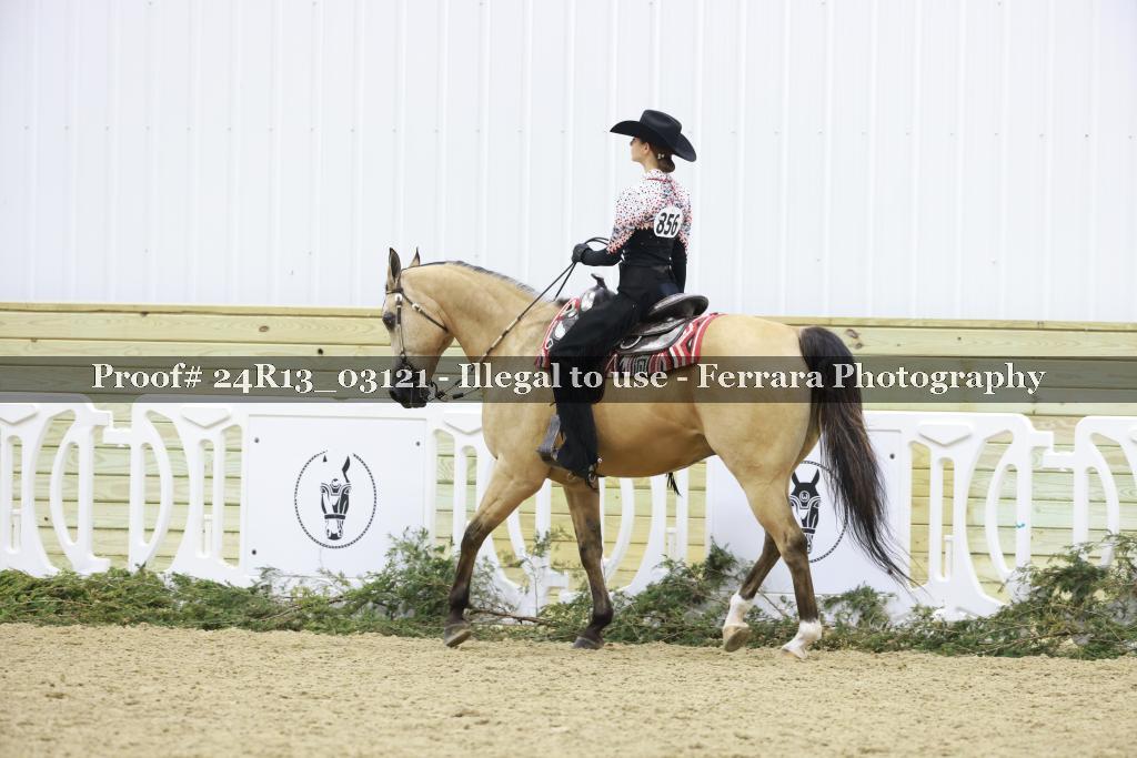 Proof Number 24R13_03121