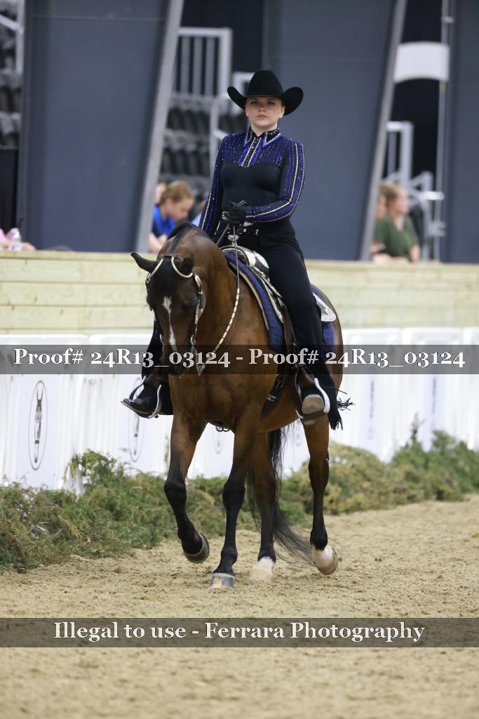 Proof Number 24R13_03124