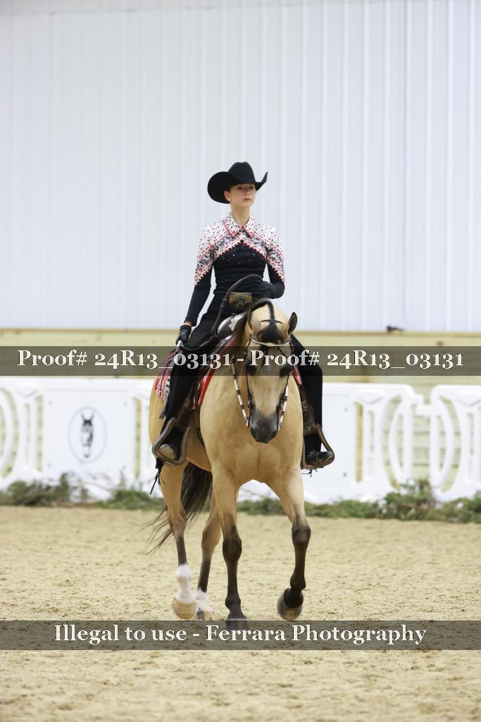Proof Number 24R13_03131