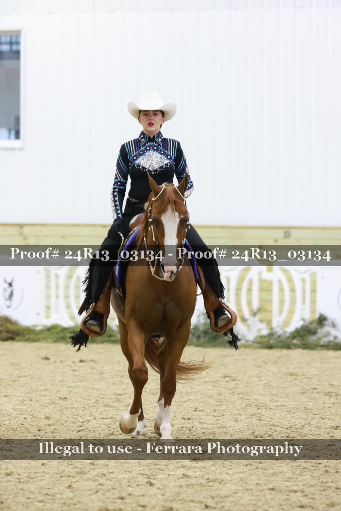 Proof Number 24R13_03134