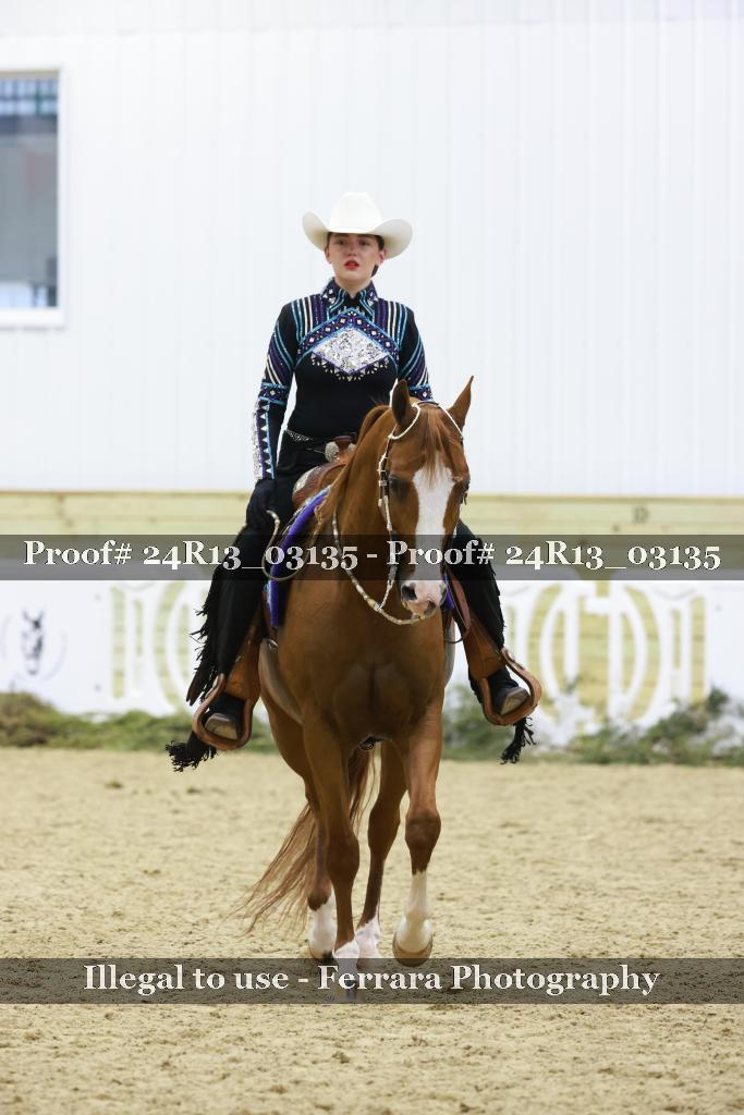 Proof Number 24R13_03135