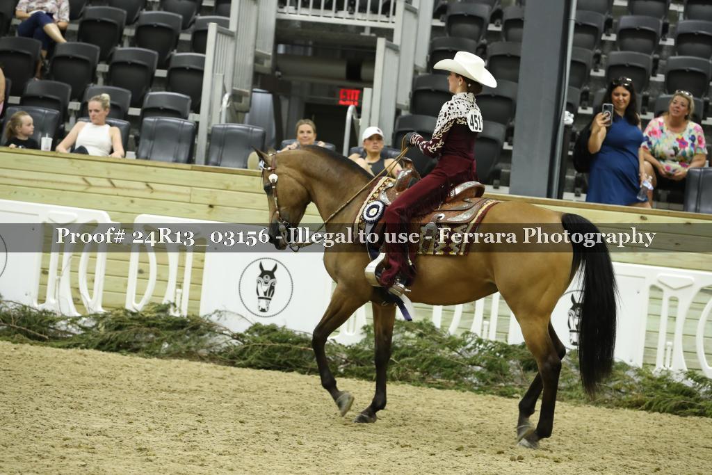 Proof Number 24R13_03156