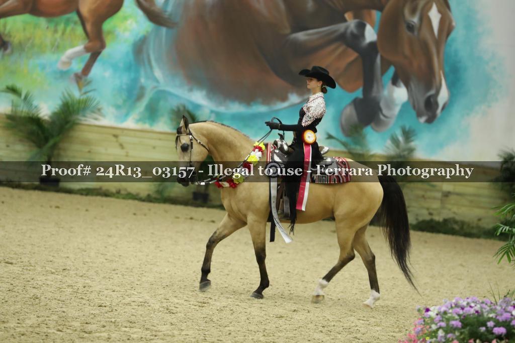 Proof Number 24R13_03157