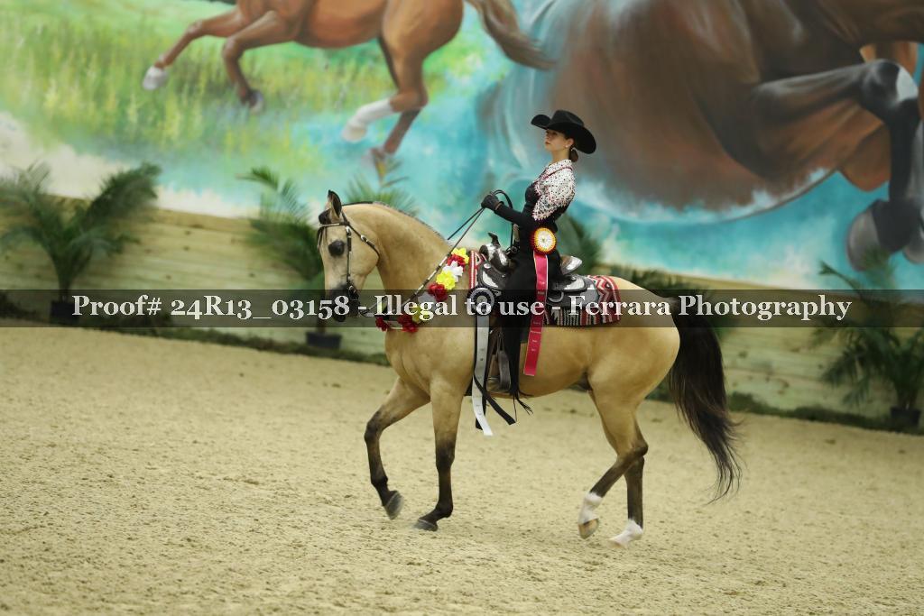 Proof Number 24R13_03158