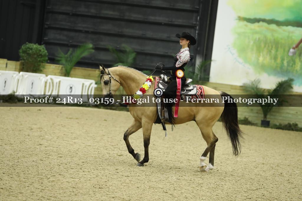 Proof Number 24R13_03159