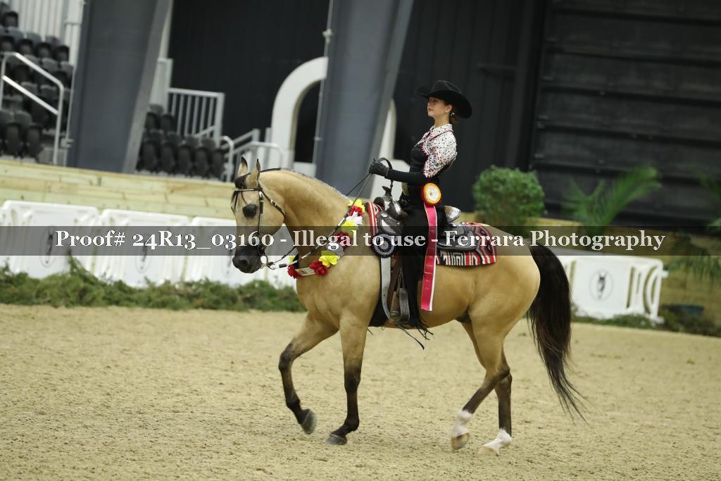Proof Number 24R13_03160