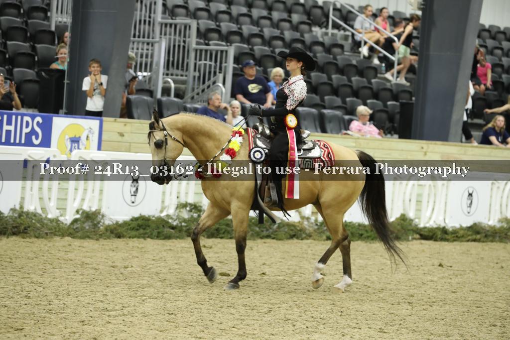 Proof Number 24R13_03162