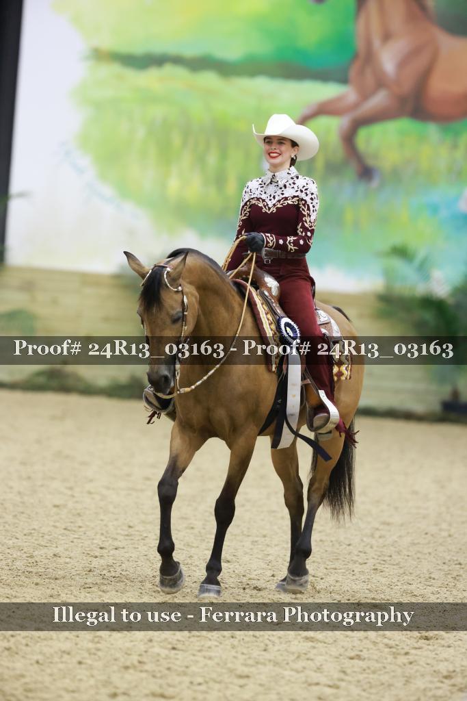 Proof Number 24R13_03163