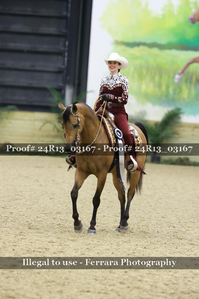 Proof Number 24R13_03167