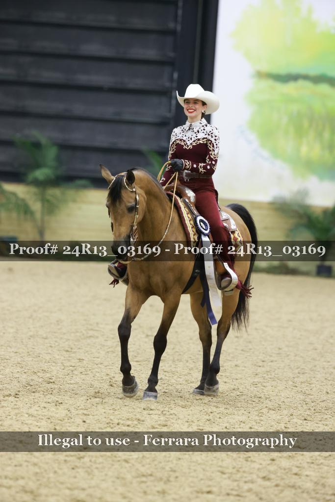 Proof Number 24R13_03169