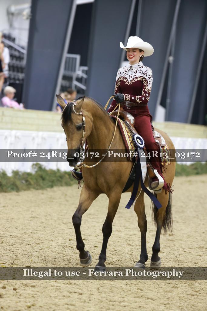 Proof Number 24R13_03172