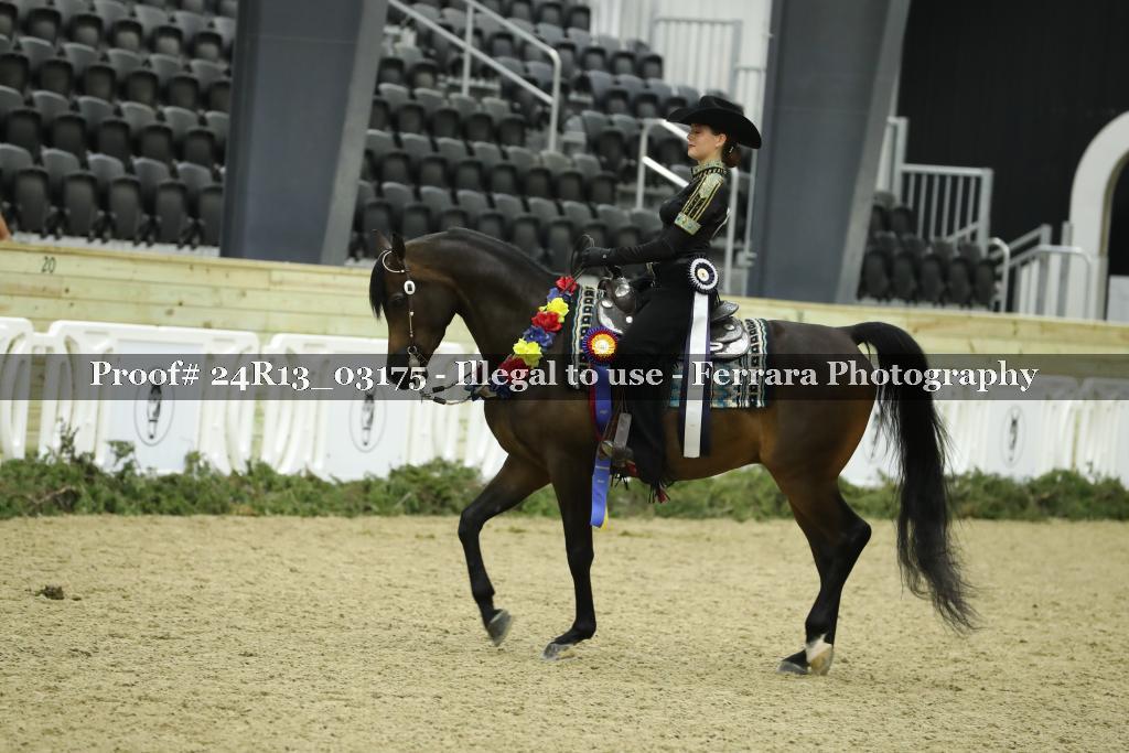 Proof Number 24R13_03175