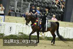 24R13_03179 thumbnail