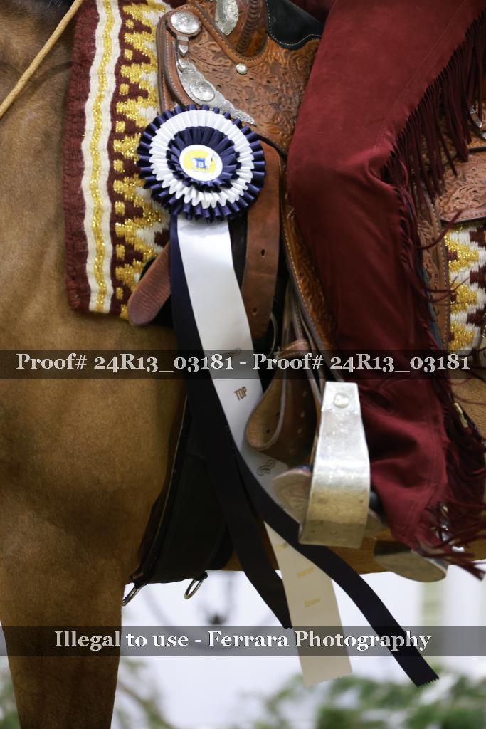 Proof Number 24R13_03181
