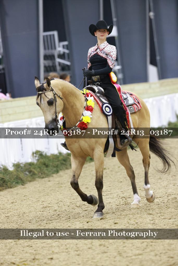 Proof Number 24R13_03187